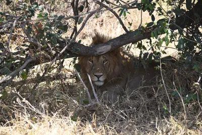 DSC_3573 (Large).JPG